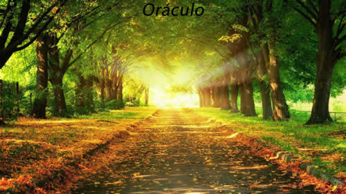 Oráculo